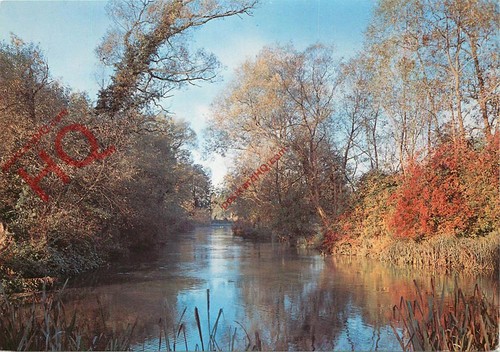 Picture postcard alresford - picture, postcard: