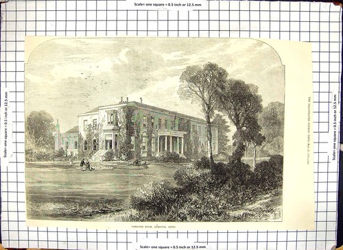 Antique old print - antique,