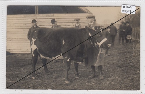 Alresford 1913 agricultural - alresford,