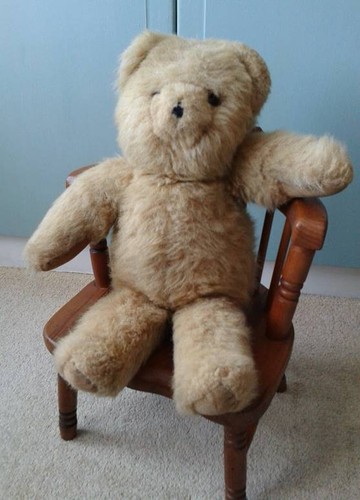 Alresford bear perfect new - bear,