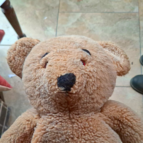 Vintage 1970s bear - vintage, from