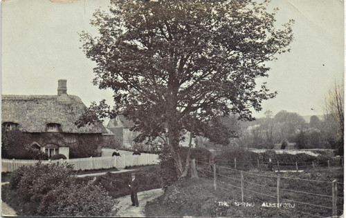 Alresford the spring - the, spring.