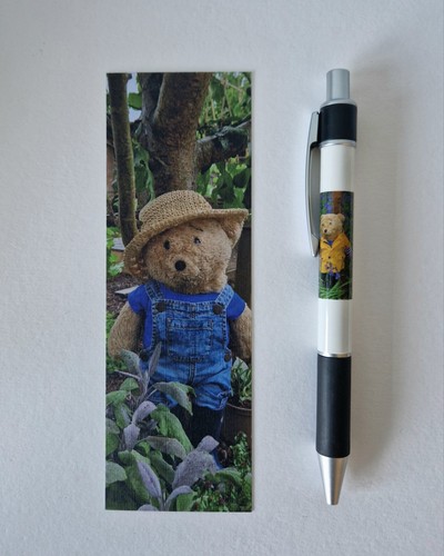 Horace the alresford bear - alresford,
