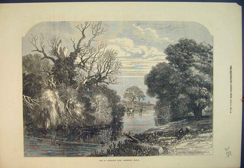 Old antique print 1871 view - old,